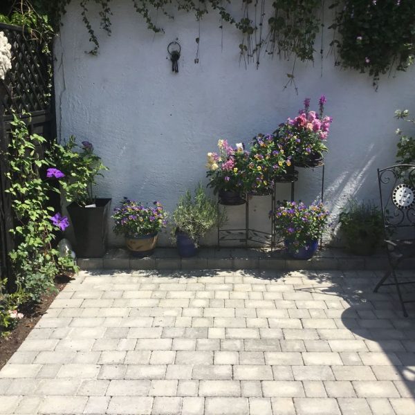 Courtyard garden Fowlers Hill Salisbury